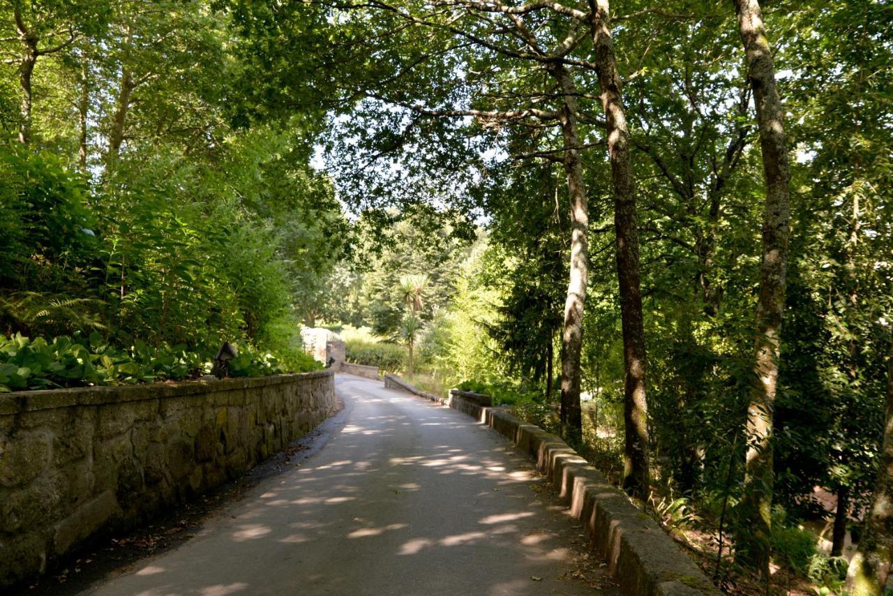 לינה וארוחת בוקר פאסוס דה פריירה Quinta Dos Jasmins מראה חיצוני תמונה